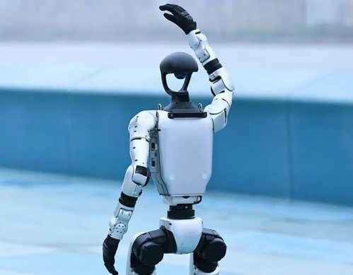 人形機器人產業迎來爆發期，宇樹科技啟動IPO引領行業新浪潮