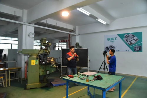 創(chuàng)新培訓(xùn)服務(wù)企業(yè) 寶山技工全面啟動(dòng)企業(yè)適崗培訓(xùn)工作，聚焦信息技術(shù)咨詢(xún)服務(wù)